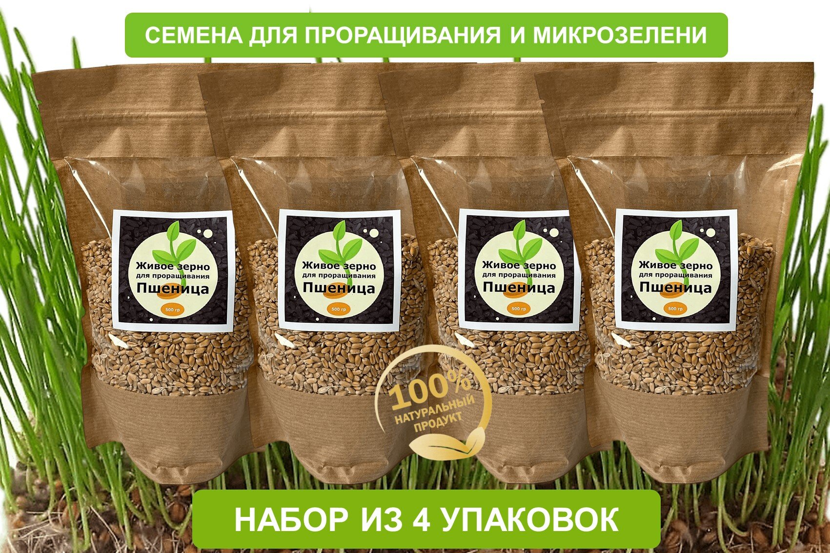 ПРОРОЩЕННАЯ ПШЕНИЦА ДЕКОР — купить по низкой цене на Яндекс Маркете