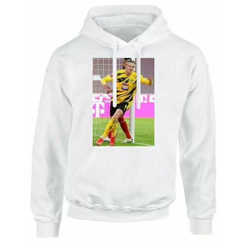 фото Толстовка , размер 66, мультиколор mewni-shop