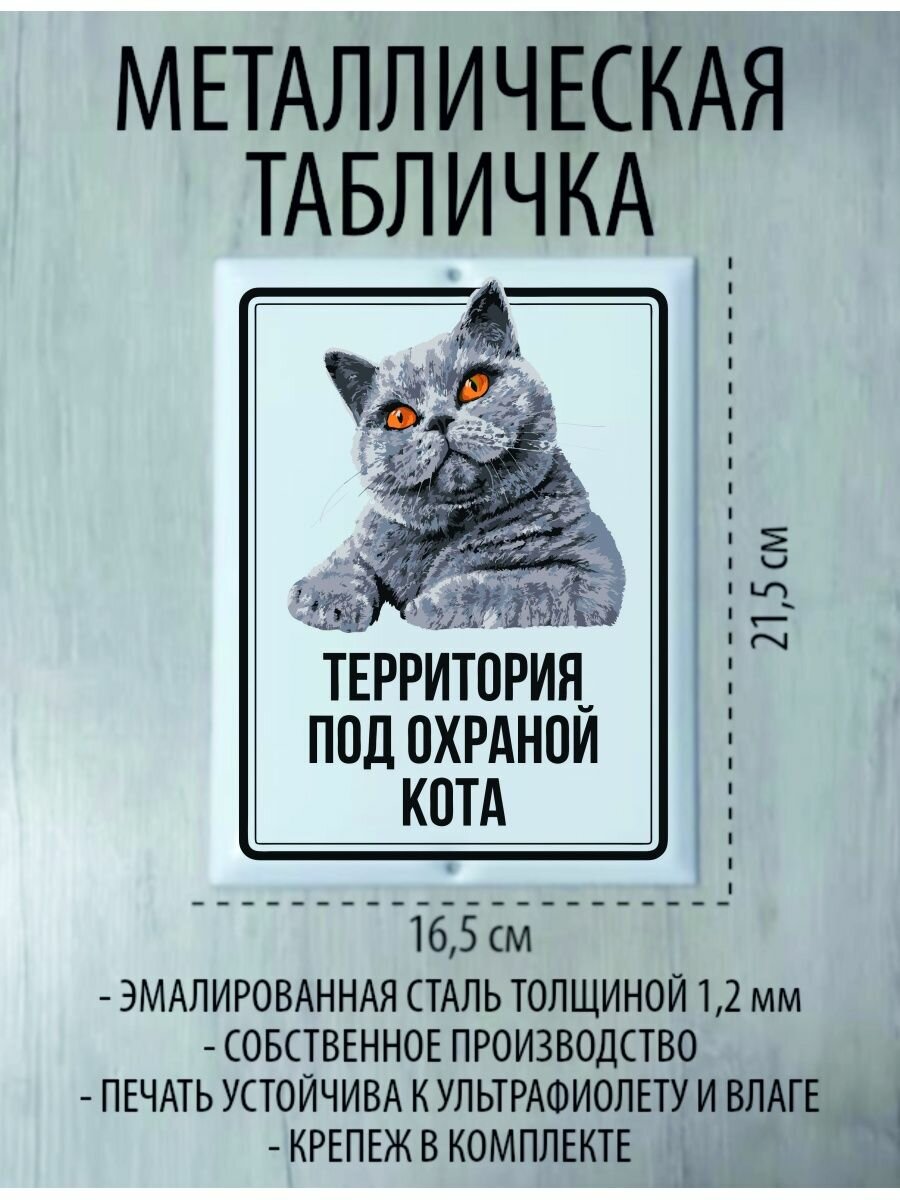 Металлическая табличка "Территория под охраной кота"