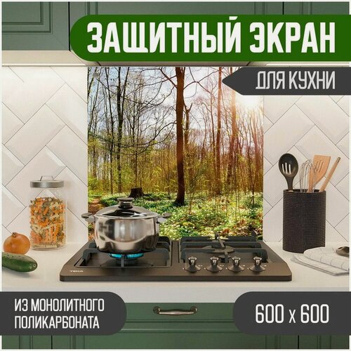 Изображение товара Фартук для кухни, Защитный экран из акрилового стекла (поликарбонат) на кухонный фартук в зону мойки и плиты с фотопечатью. Панель на стену с рисунком Пейзаж 600 х 600 х 3 мм, 600-029