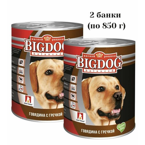 Влажный корм для собак зоогурман Big Dog Говядина с гречкой 850 г, (2 шт) Grain line