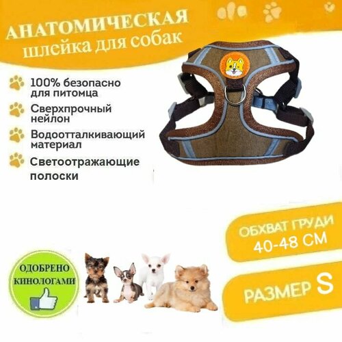 Шлейка для собак мелких пород пород Xing Ning анатомическая обхват груди S (40-48 см), с поводком 148 см светоотражающая коричневая