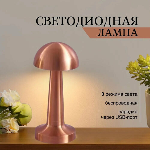 Лампа настольная светодиодная беспроводная светильник usb — купить в ...