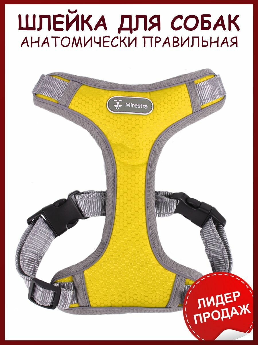 Анатомическая шлейка для собак Mirestra прогулочная светоотражающая — фото 1