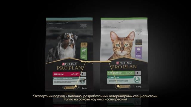 Влажный корм PRO PLAN® INDOOR для взрослых домашних кошек с лососем в соусе, 85 г x 26 шт — фото 1