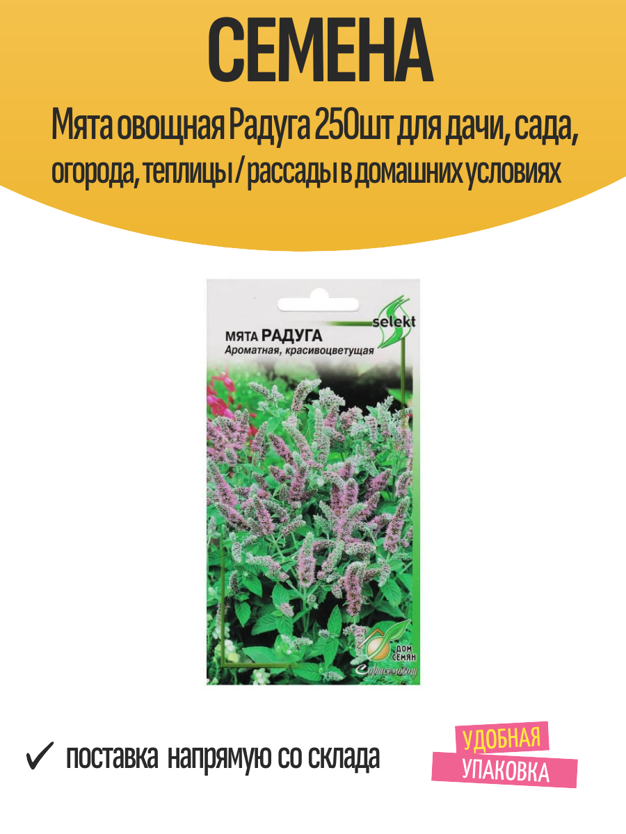 Семена Мята овощная Радуга 250шт для дачи сада огорода теплицы / рассады в домашних условиях
