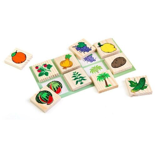 Деревянная игрушка Томик Лото – растительный мир (6-2222-1) настольные игры томик лото растительный мир