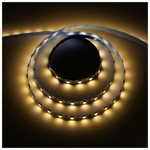 Ecola   Ecola STD 5 , IP20, SMD5050, 60 LED/, 14.4 /, 12 , 2800