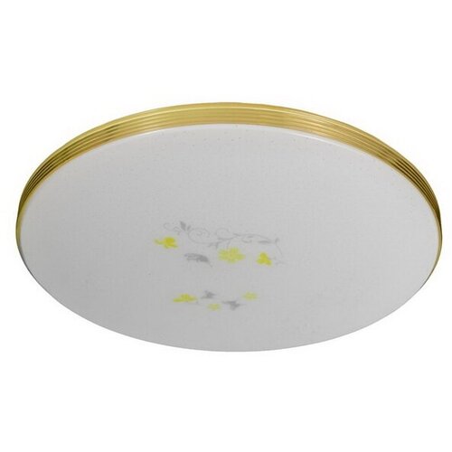 Светильник светодиодный Флора 96Вт