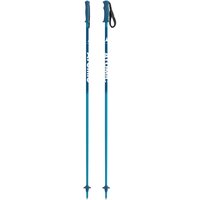 Детские горнолыжные палки ATOMIC Amt Jr 2021-2022, 80, blue