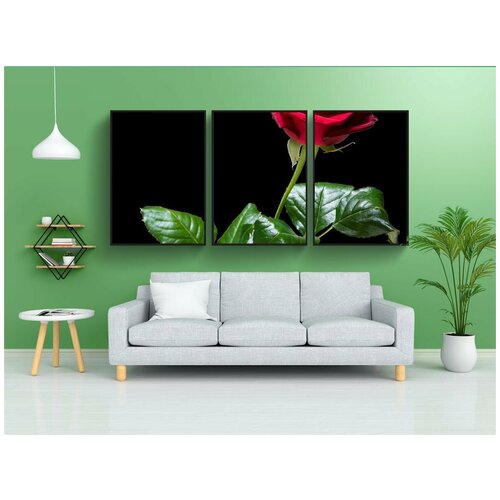 фото Набор модулных постеров для интерьера "роза, цветок, цвести" 60x90 см. в тубусе, без рамки lotsprints