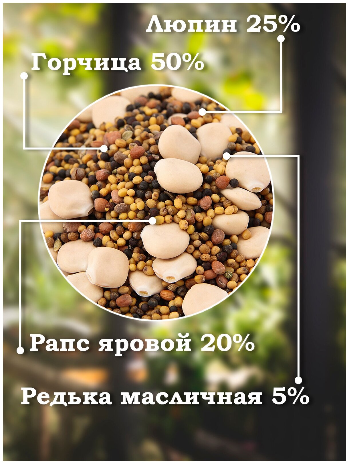 Смесь сидератов Универсальная 1кг Без бренда - фото №3