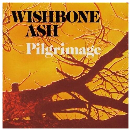 wishbone ash виниловая пластинка wishbone ash live dates volume two AUDIO CD Wishbone Ash - Pilgrimage