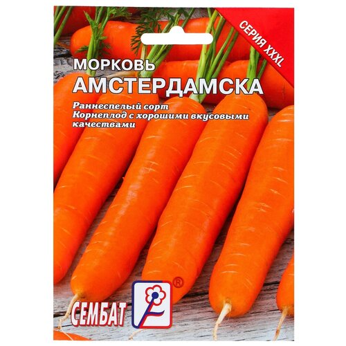 Семена ХХХL Морковь 'Амстердамска', 10 г семена хххl морковь амстердамска 10 г