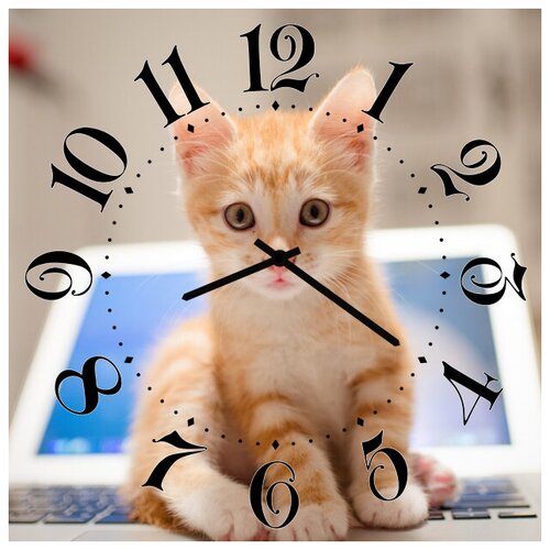 фото Svs настенные часы svs 3502033 рыжий котенок