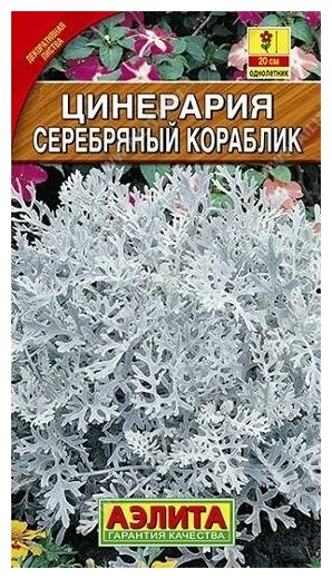 Семена. Цинерария "Серебряный кораблик" однолетник (вес: 01 г)