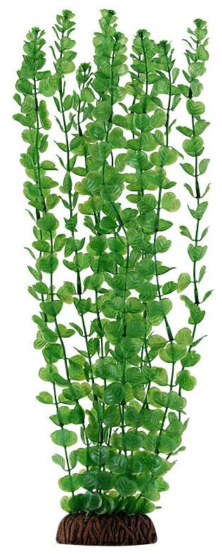 Растение "Бакопа" зеленая, 400мм, 1шт