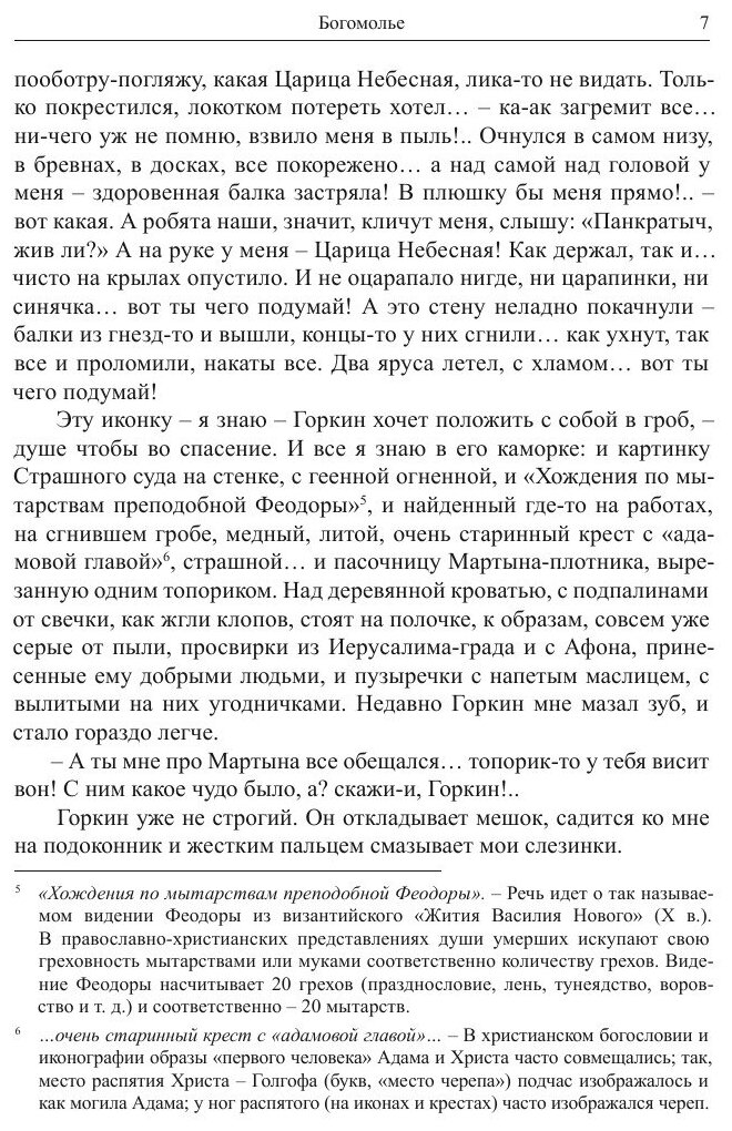 Богомолье (Шмелев Иван Сергеевич) - фото №9