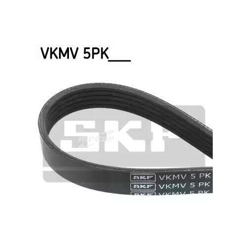 фото Skf vkmv5pk870 ремень приводной