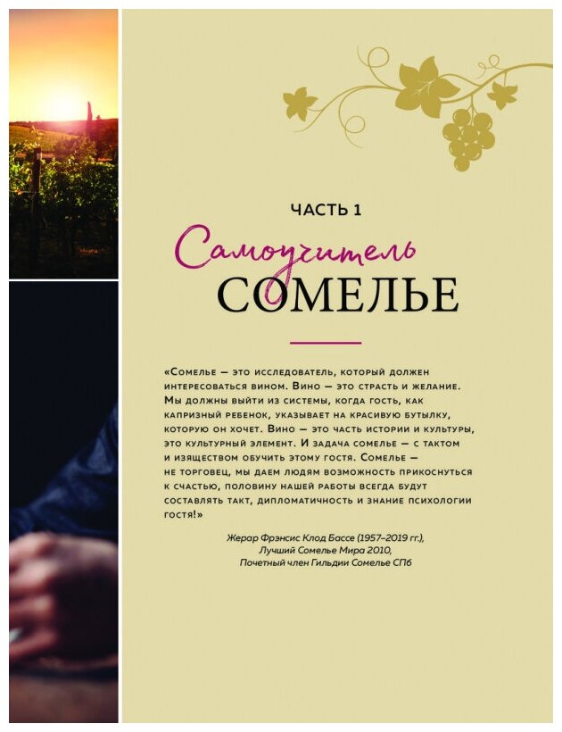 PRO SOMMELIER Учебник сомелье дегустация сервис эногастромия энография - фото №8