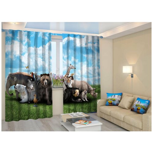 Фотошторы Блэкаут 