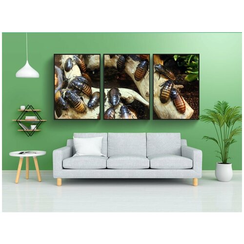 фото Набор модулных постеров для интерьера "тараканы, ошибки, насекомое" 60x90 см. в тубусе, без рамки lotsprints