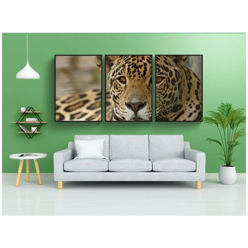 фото Набор модулных постеров для интерьера "ягуар, кошачий, пятна" 60x90 см. в тубусе, без рамки lotsprints