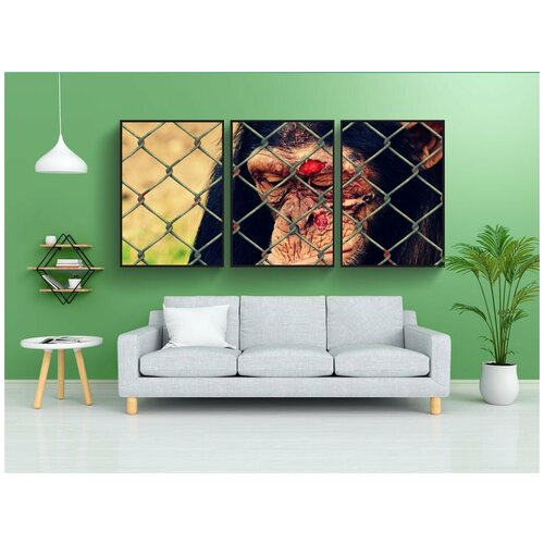 фото Набор модулных постеров для интерьера "забота о животных, жестокость к животным, травма" 60x90 см. в тубусе, без рамки lotsprints