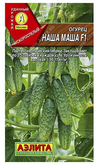 Семена огурца Агрофирма аэлита  Наша Маша   партенокарпические  10шт