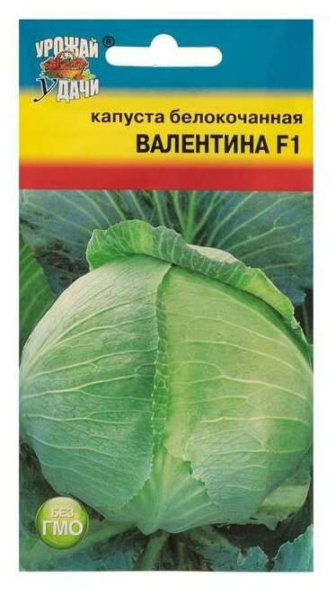 Семена Капуста б/к "Валентина" F1,0,1 гр