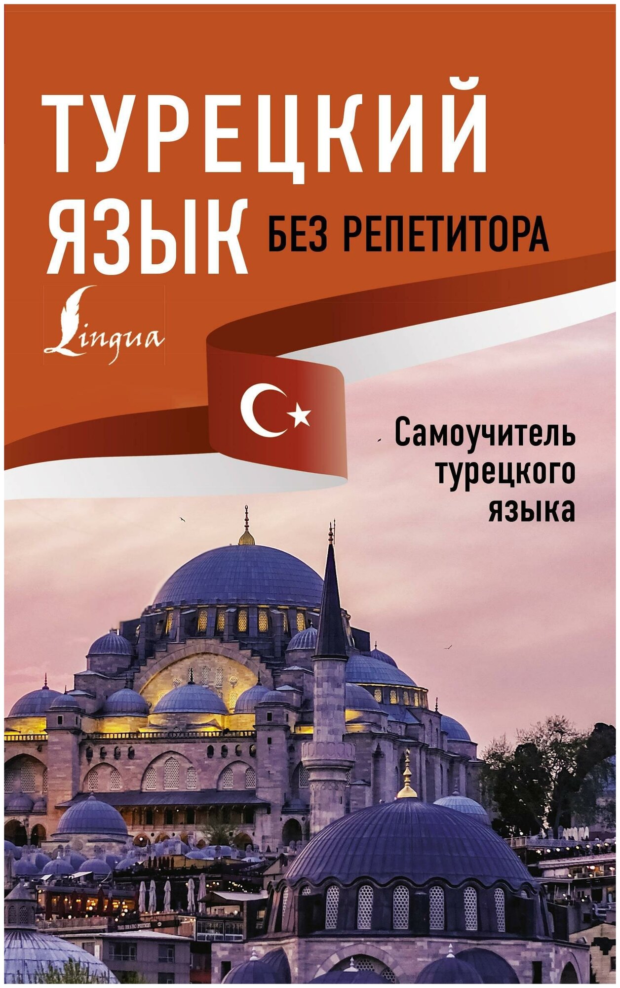 Турецкий язык без репетитора. Самоучитель турецкого языка - фото №1
