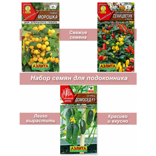 Семена томата, перца, огурца для подоконника сад в квартире огород на подоконнике