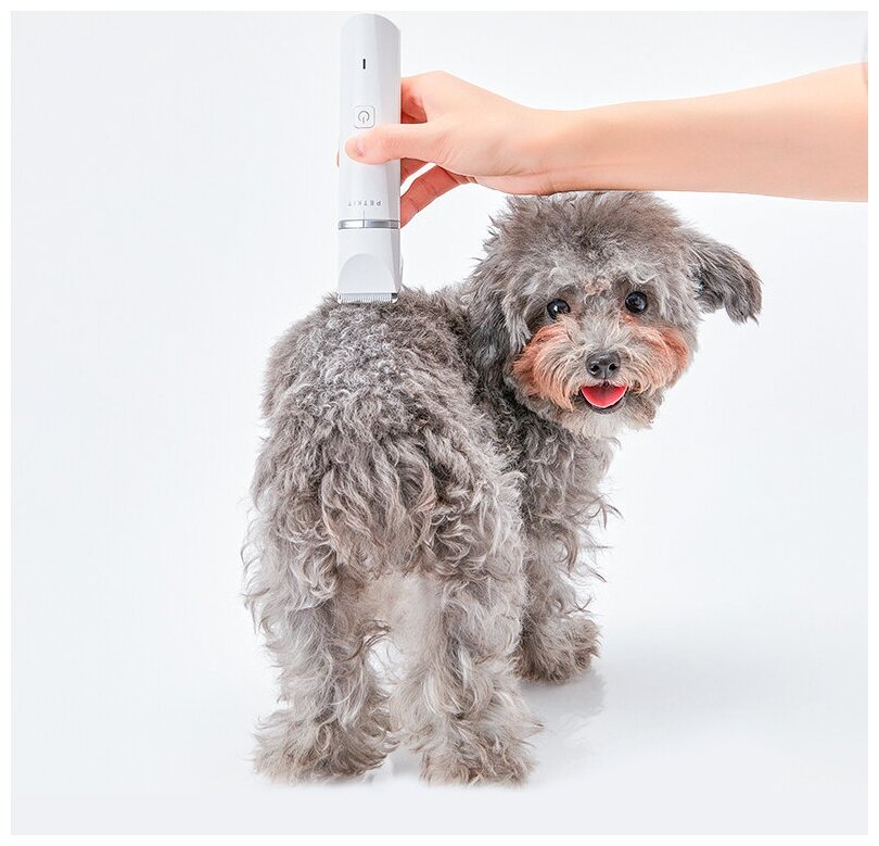 Советы по грумингу животных дома