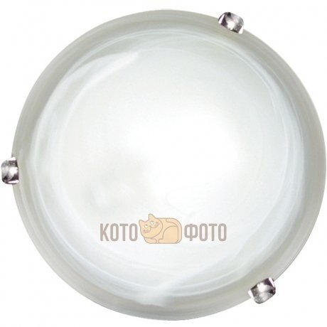 Настенно-потолочный светильник Arte lamp Symphony A3440PL-2CC