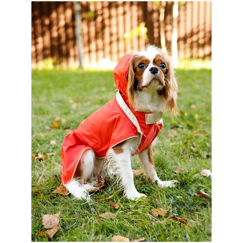 Дождевик спортивная курточка трансформер светоотражающая Japan Premium Pet . Размер S. Цвет оранжевый. Унисекс