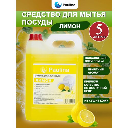 Средство для мытья посуды Paulina/Паулина 5 л с ароматом 