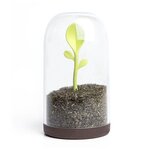 Контейнер для сыпучих продуктов Sprout Jar - изображение