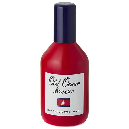 Туалетная вода мужская Old Ocean breeze, 100 мл