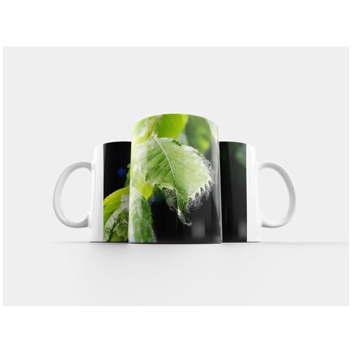 фото Кружка "пух, лето, ясень" 320 мл lotsprints