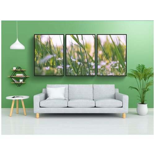 фото Набор модулных постеров для интерьера "шишки-молочная звезда, цветы, природа" 60x90 см. в тубусе, без рамки lotsprints