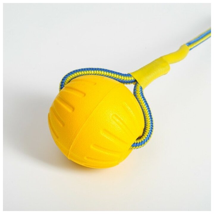 Мяч из EVA на верёвке, для дрессировки, 7 см, жёлтый Пижон 7159799 . - фотография № 2