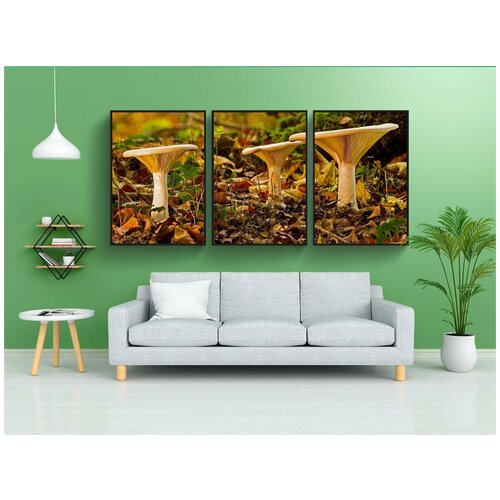 фото Набор модулных постеров для интерьера "гриб, грибы, монах крышкой" 60x90 см. в тубусе, без рамки lotsprints