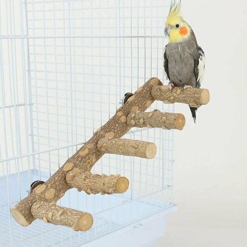игрушка для птиц жердочка деревянная mr pips 20 см Жердочка для птиц и попугаев Mr.Pips