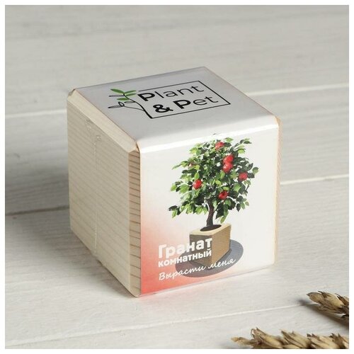 Набор для выращивания PP Гранат комнатный 791₽