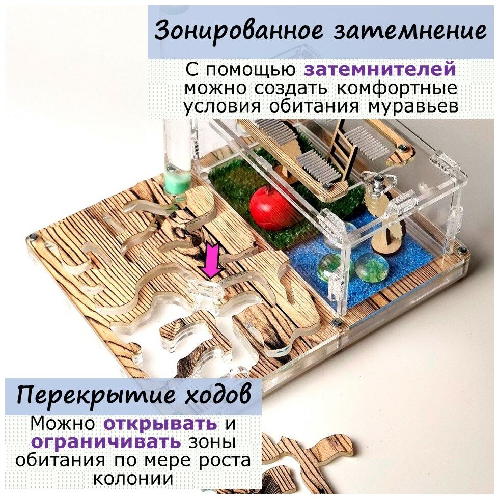 Муравьиная ферма средняя 20*16 Сосна с запирающейся крышкой Полный комплект - фотография № 4