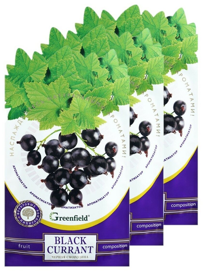 Саше ароматическое Greenfield Black Currant Черная смородина 15 г  3 саше.