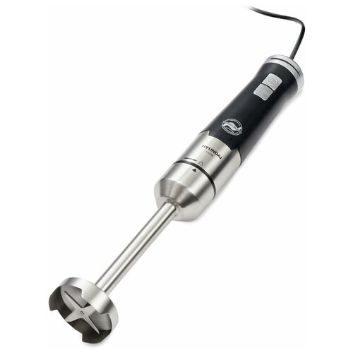 Блендер Hyundai HYB-H4935 погружной черныйсеребристый 375000₽