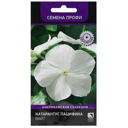 Семена цветов Катарантус Пацифика Вайт 10 шт, 2 пачки катарантус пацифика дип орхид 10 семян поиск 3 пачки