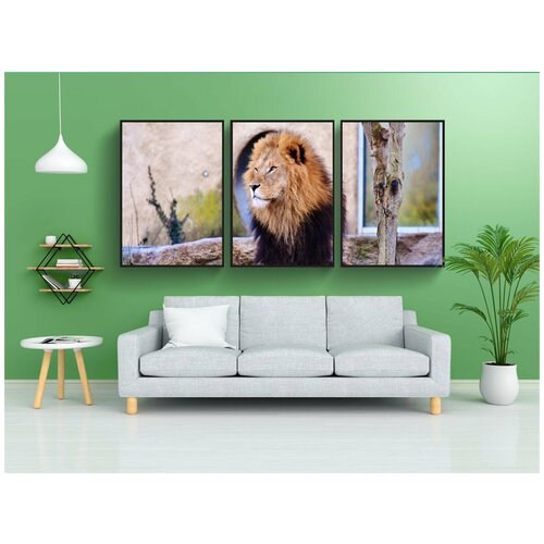 фото Набор модулных постеров для интерьера "лев, большой кот, хищник" 60x90 см. в тубусе, без рамки lotsprints