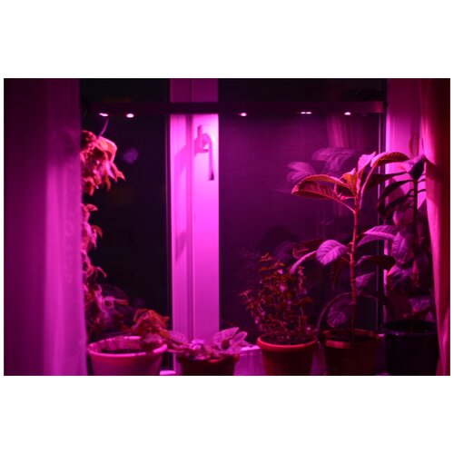 фото Оконная светодиодная лампа для растений "васат" 30 вт, 120 см агрономия xxi век